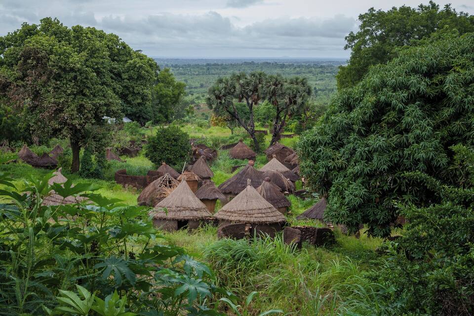A rural landscape with thatched-roof huts surrounded by lush greenery and trees.