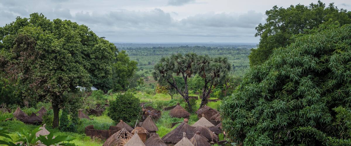 A rural landscape with thatched-roof huts surrounded by lush greenery and trees.