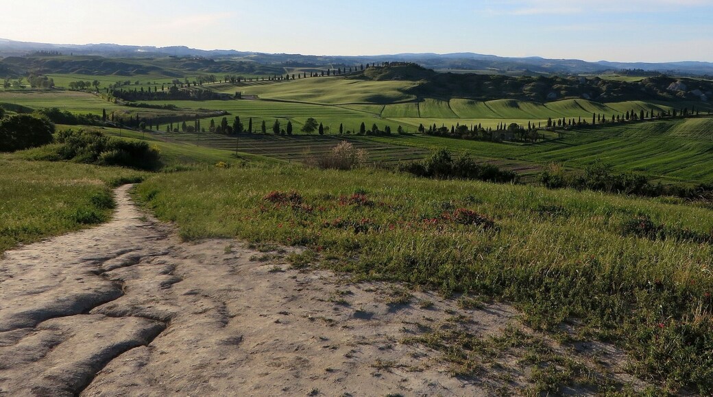 Picturesque surroundings south of Siena. #TakeAHike