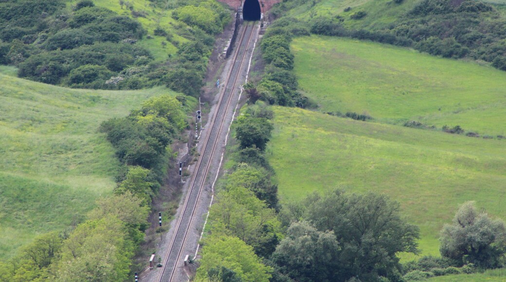 Poggio Faule, hill on the Siena - Montallese (Chiusi) railway, territory of Asciano, Province of Siena, Tuscany, Italy