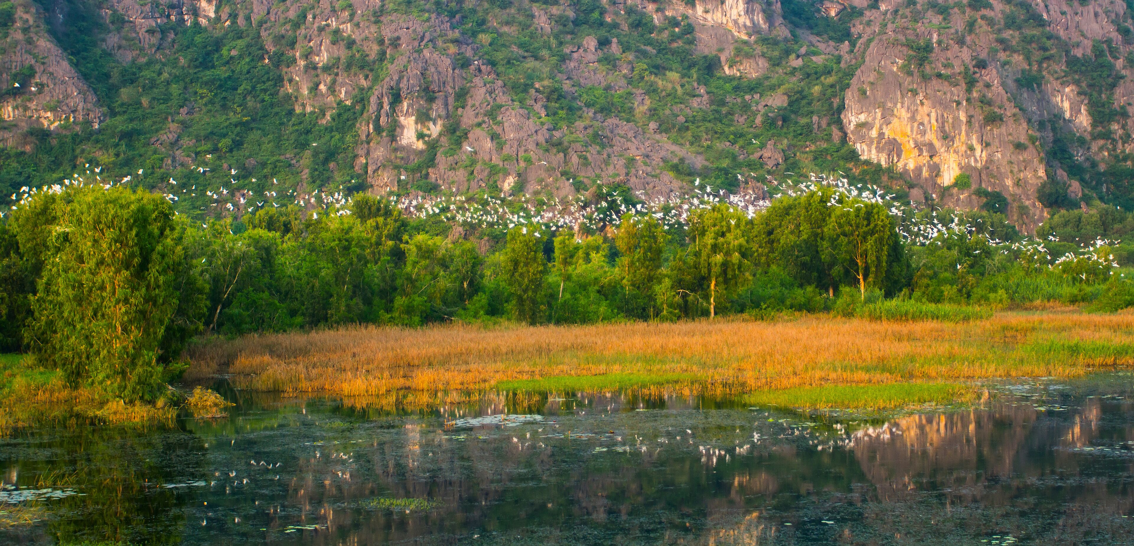 Landscape in Van Long natural reserve in Ninh Binh, Vietnam. Vietnam landscapes.