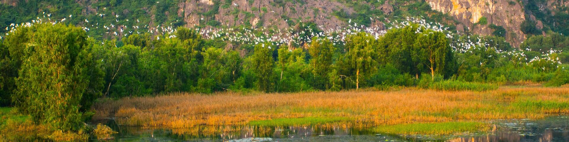 Landscape in Van Long natural reserve in Ninh Binh, Vietnam. Vietnam landscapes.