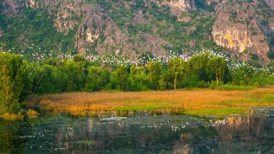 Landscape in Van Long natural reserve in Ninh Binh, Vietnam. Vietnam landscapes.