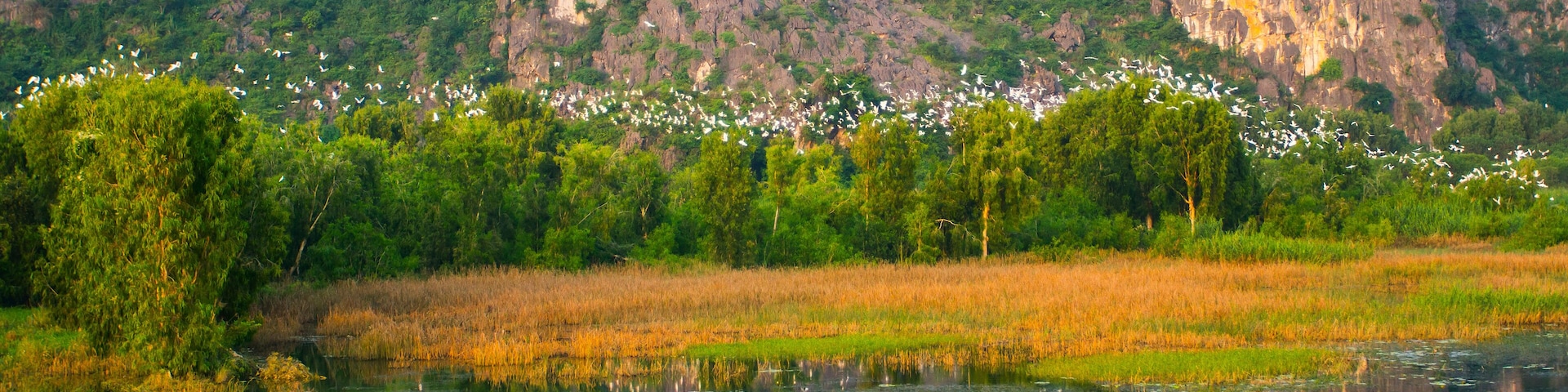 Landscape in Van Long natural reserve in Ninh Binh, Vietnam. Vietnam landscapes.