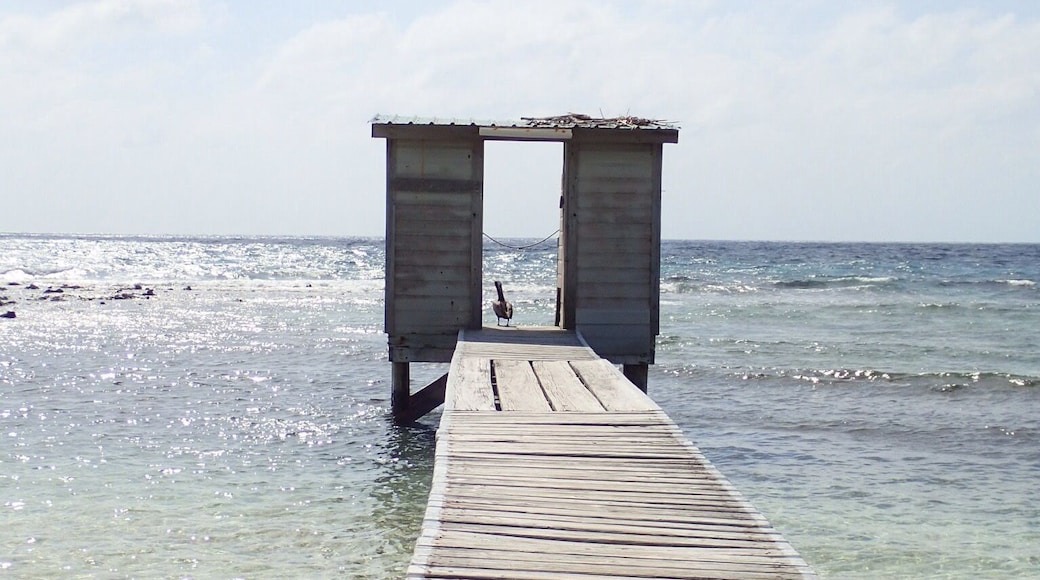 This is what you call a loo with a view!
Visited here on a day out sea kayaking. The surrounding waters include some of the most spectacular snorkelling I have ever encountered.
Located fifteen miles offshore on this small island, Smithsonian scientists and their collaborators travel there to conduct research on the biology, ecology, and geology of coral reef ecosystems.
#AquaTrove