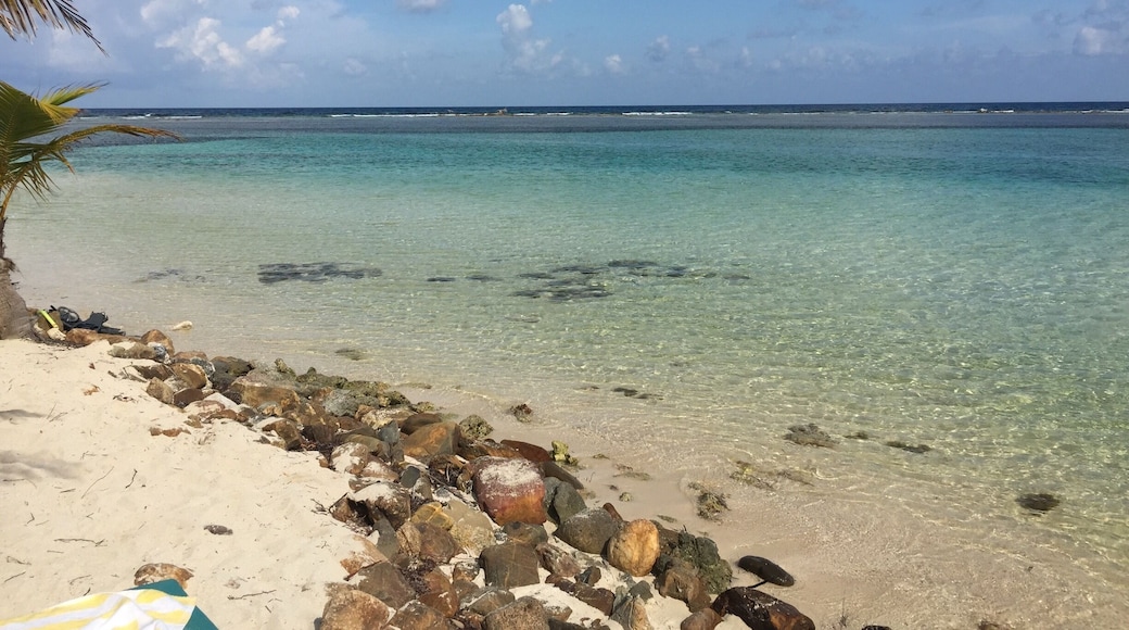 This is South Water Caye Belize. A beautiful island about 40 minutes off the mainland. I want to return and live there!
#Belize #Travel #Island #Beach