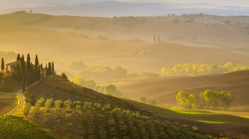 Fairytale, misty morning in the most picturesque part of Tuscany, val de orcia valleys