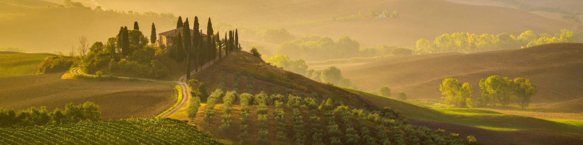 Fairytale, misty morning in the most picturesque part of Tuscany, val de orcia valleys