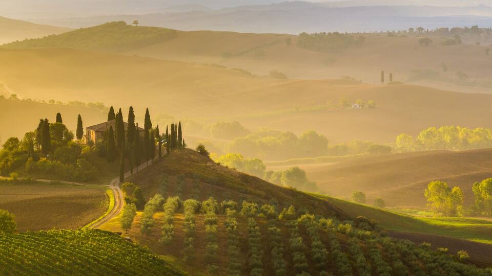 Rolling hills, a vineyard, and a historic building on a hill.