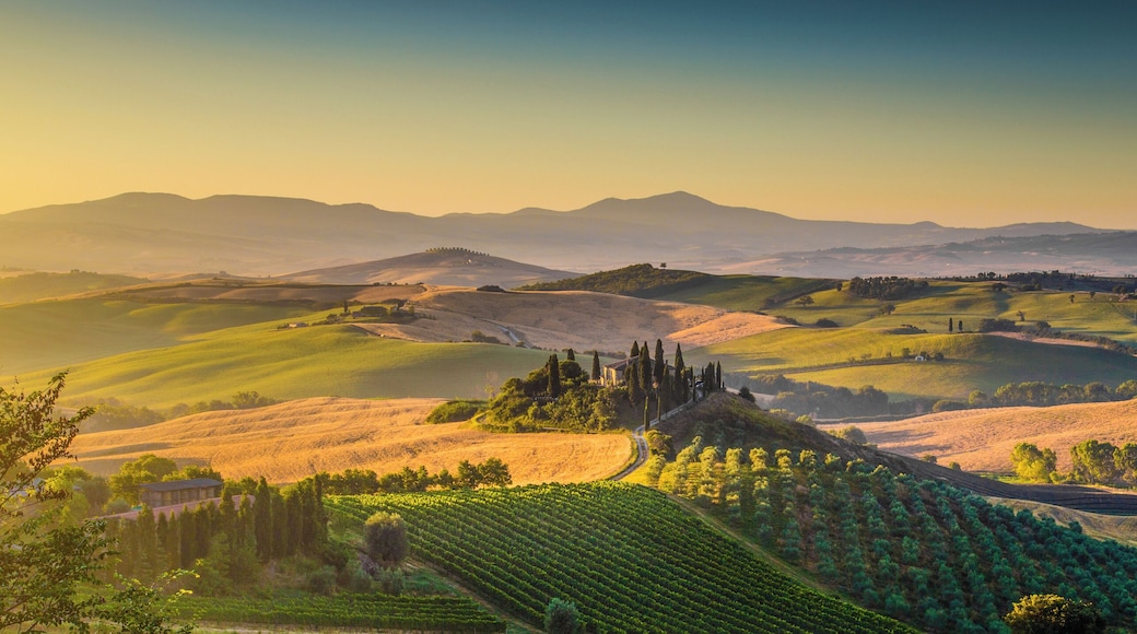 ヴァル ド オルチャ