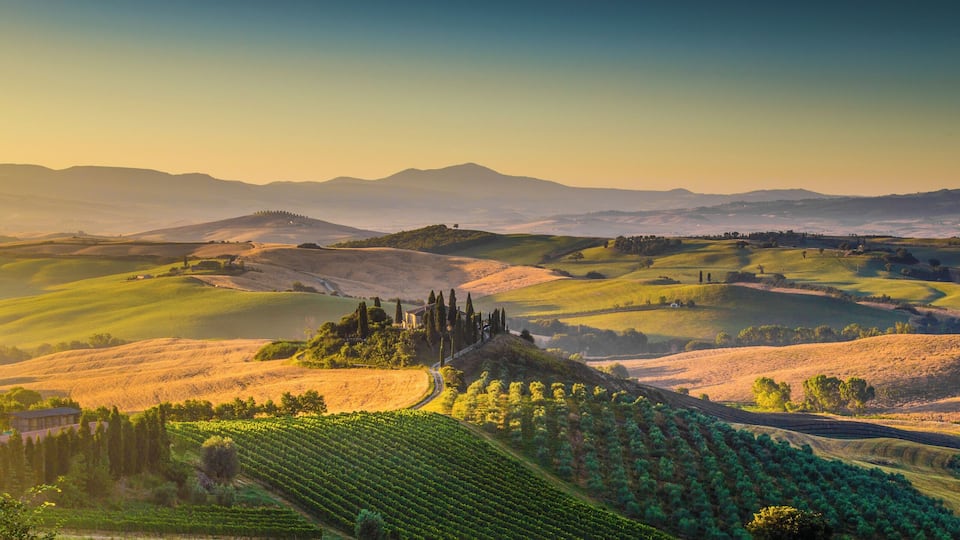 Rolling hills, vineyards, and distant mountains under a clear sky.