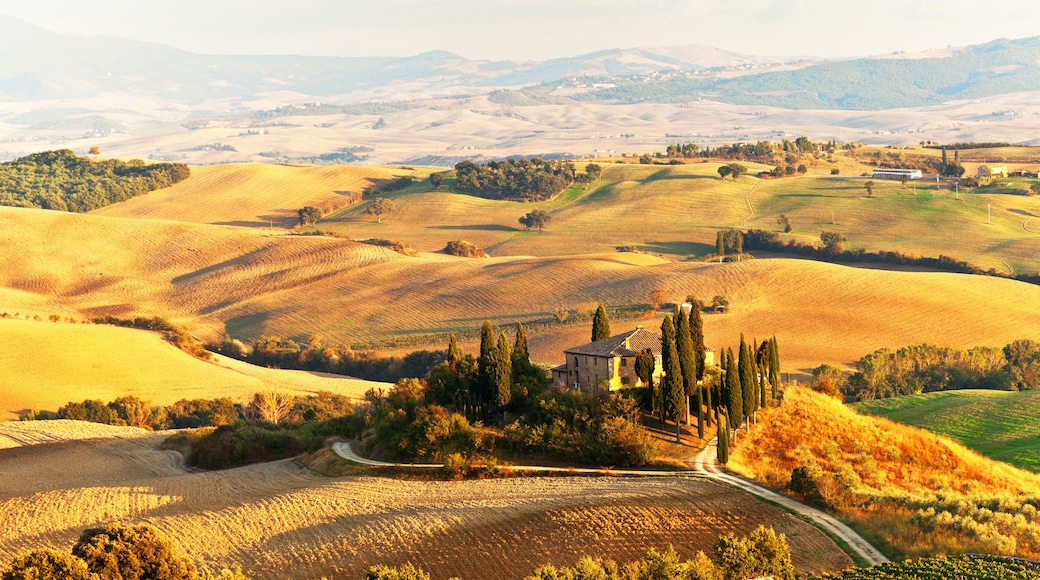 Italy. Pienza. Beautiful Tuscany autumn rural landscape with cleaned fields and a farmhouse with cypress trees in the setting sun. Val d'Orcia natural Park