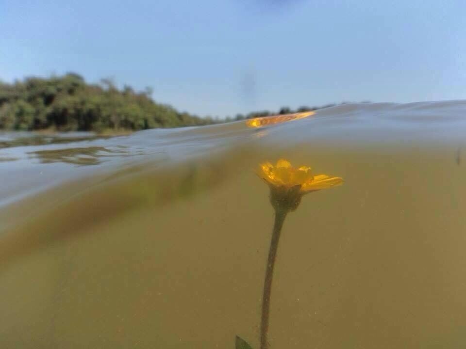 Stand up paddle tour