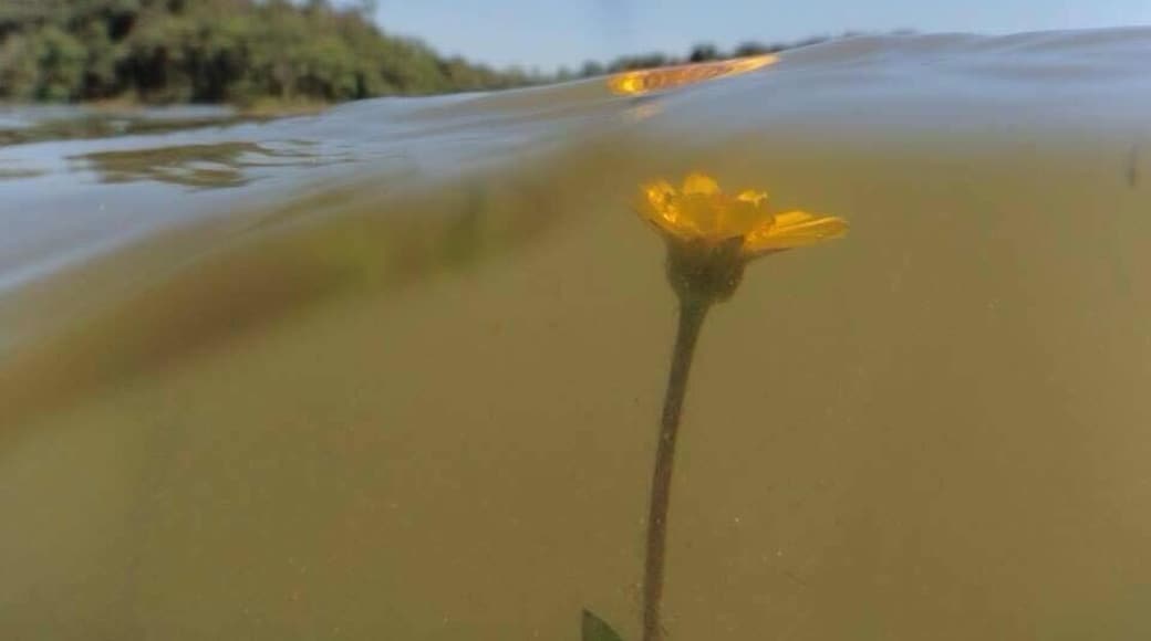 Stand up paddle tour