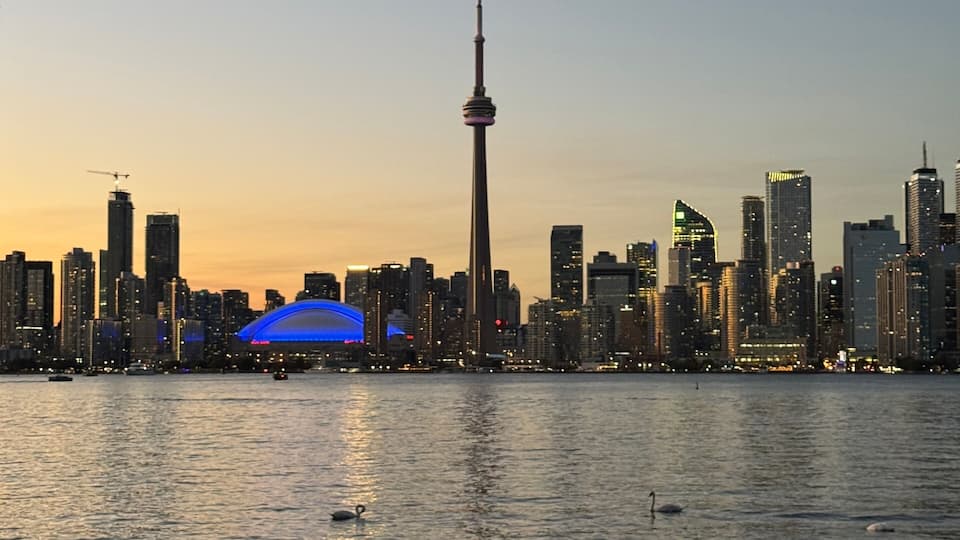 A city skyline with a prominent tower, a body of water, and a blue-lit building.