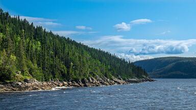 Rocks and huge and green trees flowing into the Fjord du Saguenay in Quebec Province during a windy day.