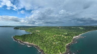 Vista aérea de uma ilha verdejante e exuberante, rodeada por águas calmas, sob um céu límpido.