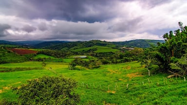 Um vale verdejante com colinas ondulantes, uma pequena massa de água e um céu nublado.
