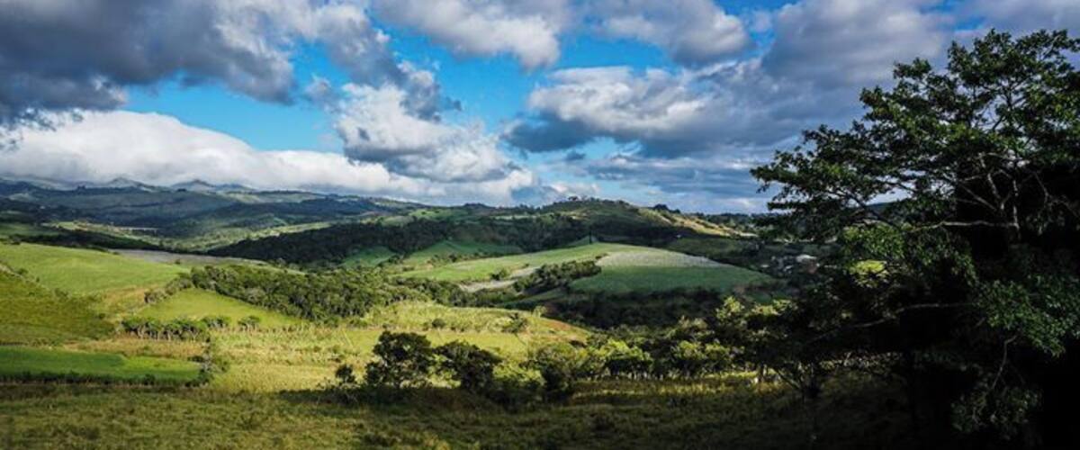 Rolling green hills, a tree, and a partly cloudy sky.