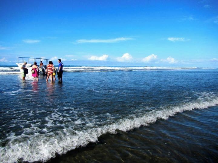 about to board the dive boat in Parque Nacional Marino Ballena to Isla Caño.  The diving with Costa Rica Dive and Surf (based out of Dominical) was fantastic even in the rainy season.  When we surfaced from our dive there was a humpback whale and her calf only about a mile away. Even that couldn't compete with the early morning view on the beach! 