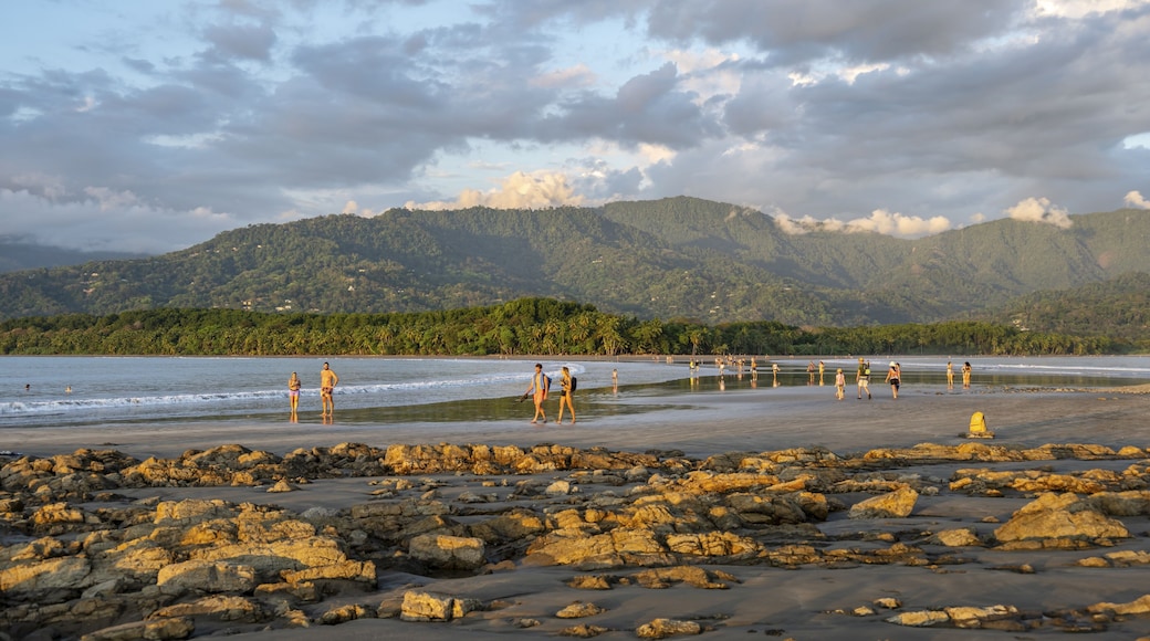 Sandy beach beach with palm trees by the sea, with reflection, Punta Uvita, Tropical rainforest, wooded hills, Pacific coast, Parque Nacional Marino Ballena, Puntarenas province, Costa Rica
