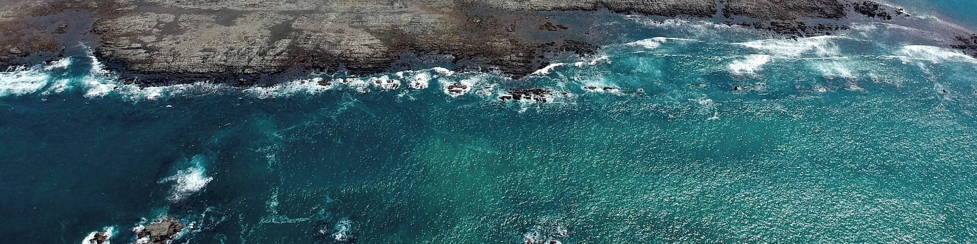 If you're close to Uvita, check the tide schedule and get down to the beach! Humpback whales raise their young in Marino Bellena as the waters are shallow and warm and they feel safe. Coincidentally, at low tide, the beach forms a "whale's tail" shape, and it's stunning to see.
There is a National Park entrance fee, that I believe was in the $3-6 range for the day.