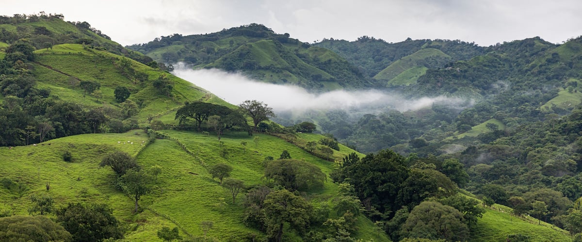 Rolling hills with lush greenery and a valley shrouded in mist.