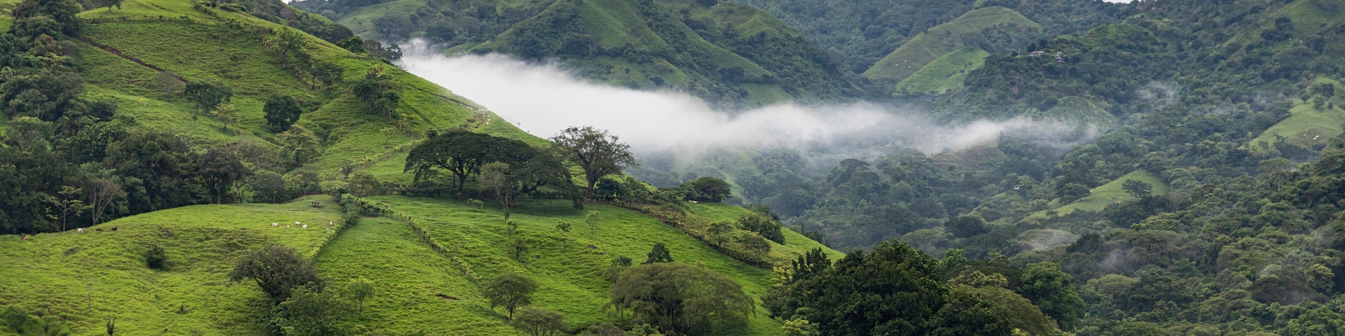 Rolling hills with lush greenery and a valley shrouded in mist.