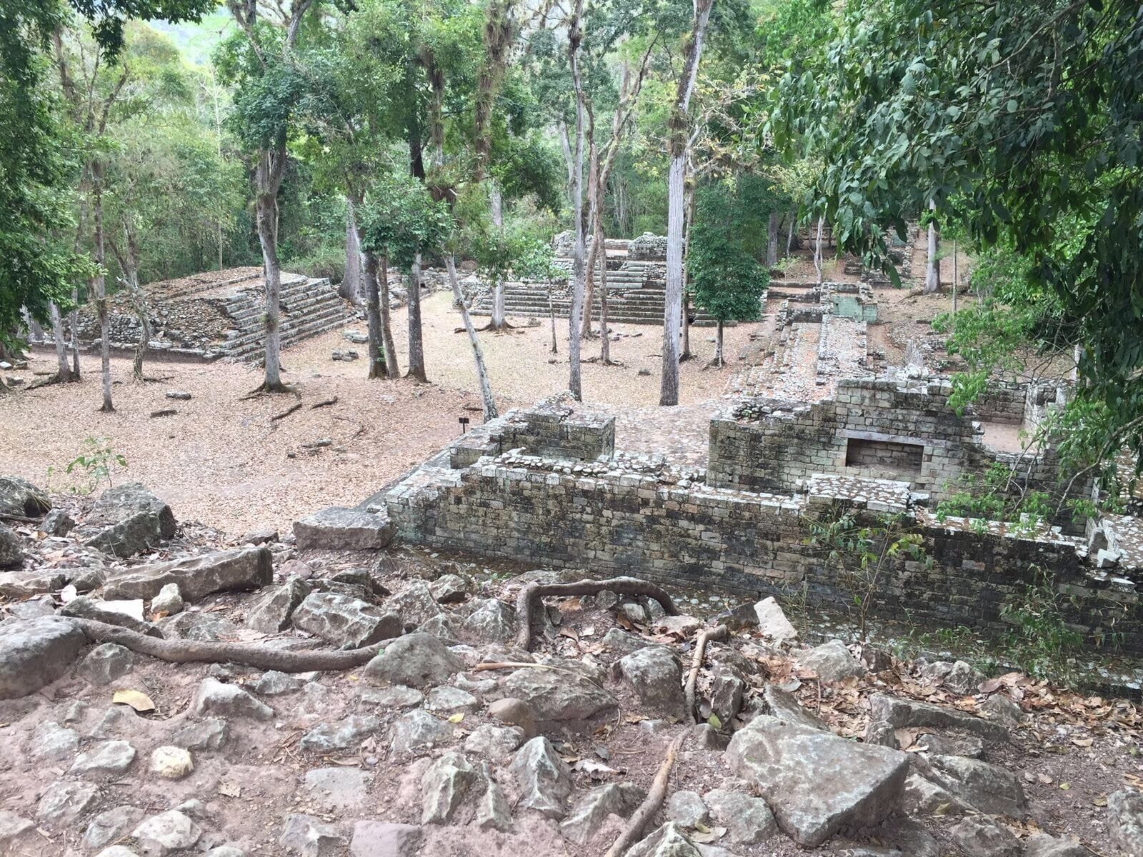 Maya temples