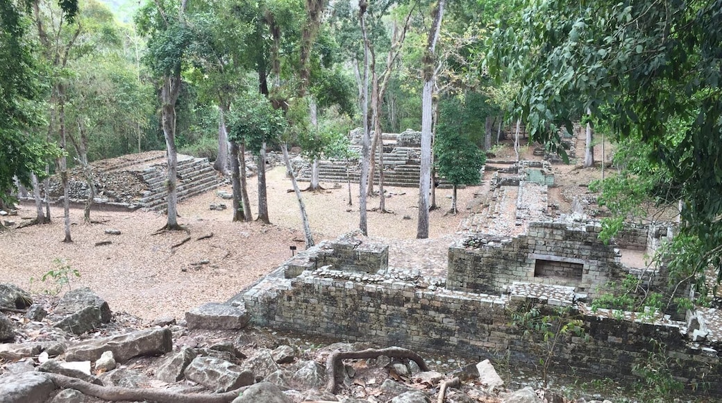 Maya temples