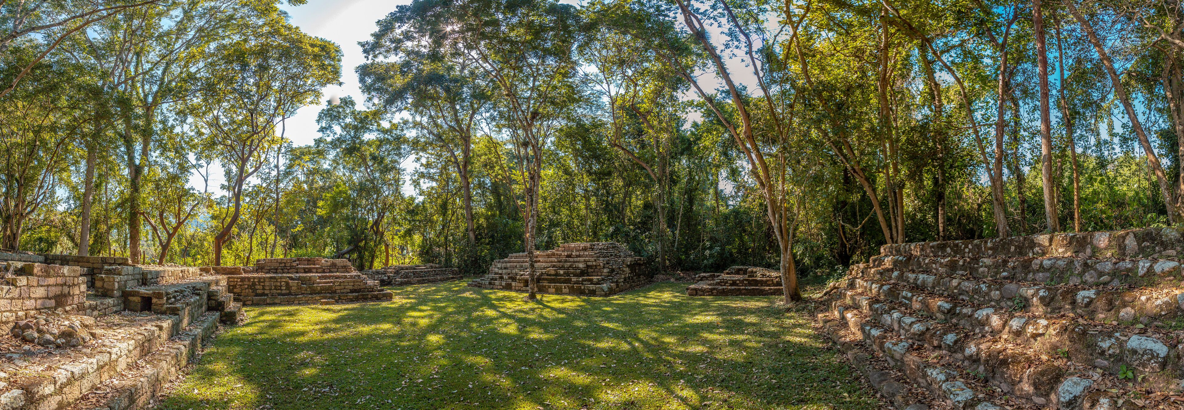 Ruinas de piedra antiguas rodeadas por un bosque denso.