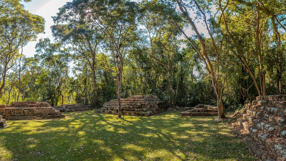 Ancient stone ruins surrounded by a dense forest.