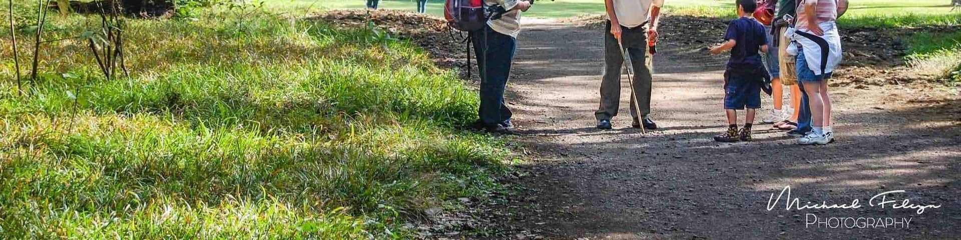 Beautiful Mayan ruins in Honduras