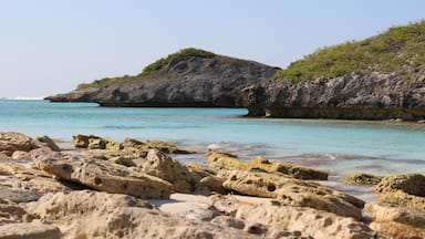 View along rocky tropical Caribbean shoreline with turquoise blue ocean in Turks and Caicos