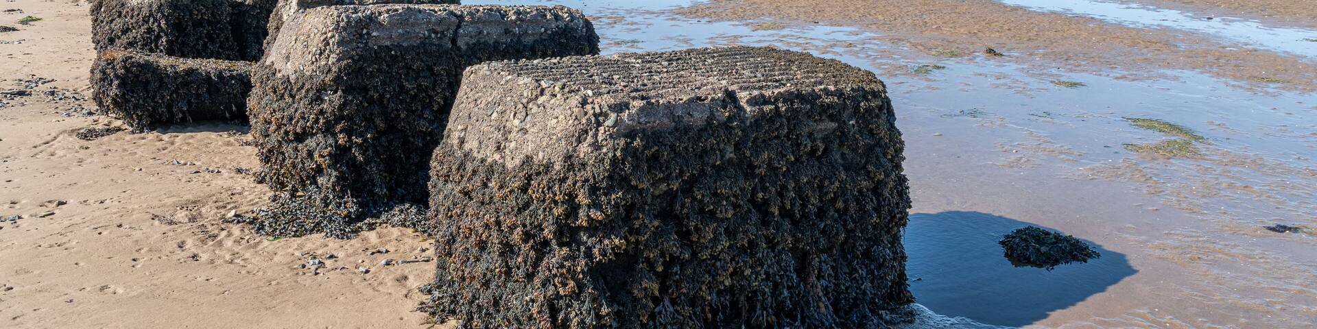 Remains of World War Two defenses on Headwell Sands, Tentsmuir Point, Tayport, Fife, Scotland
