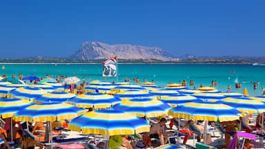 A crowded beach with numerous colorful umbrellas and people enjoying the water.