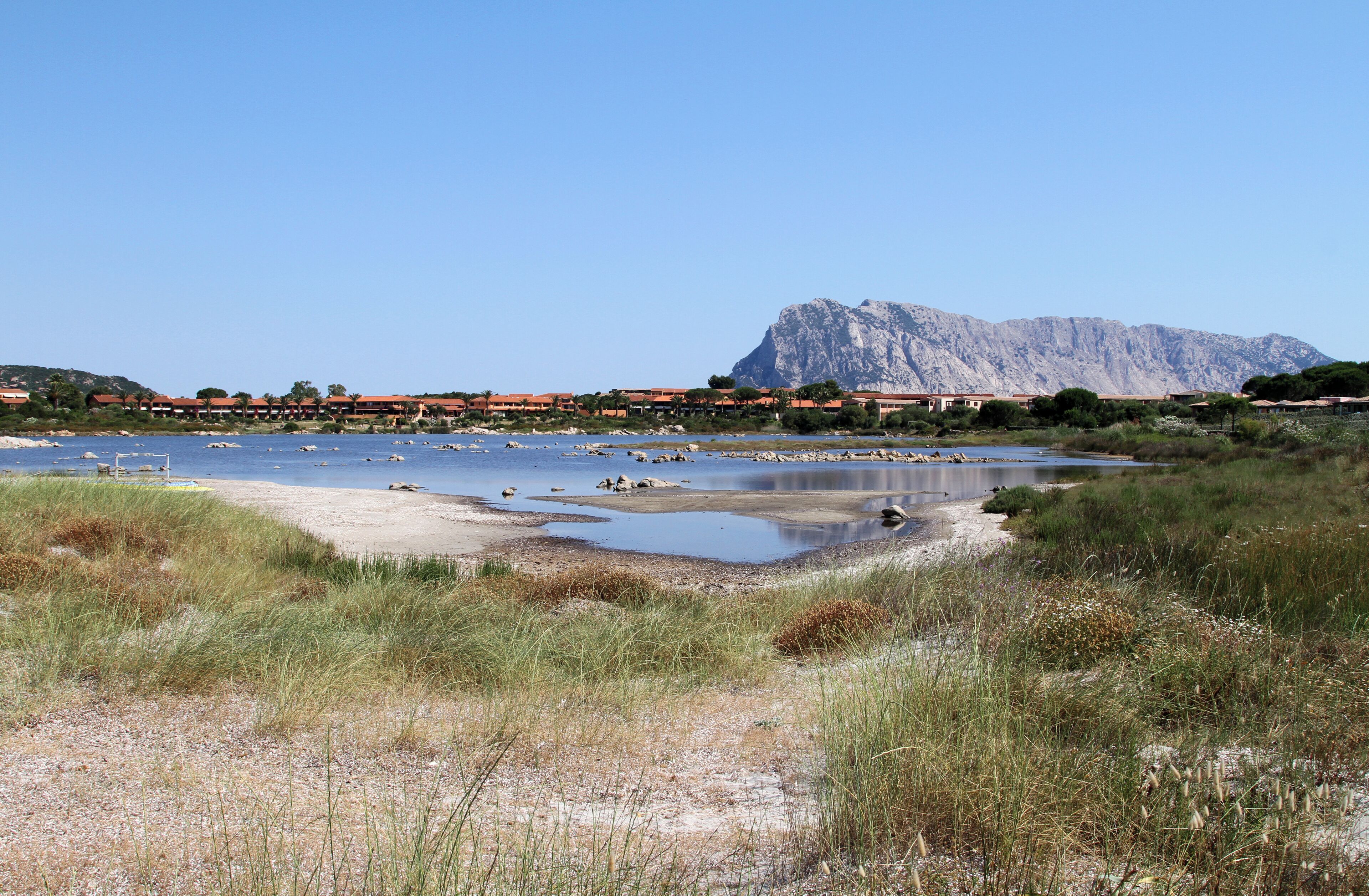 Salina Manna (Capo Coda Cavallo)