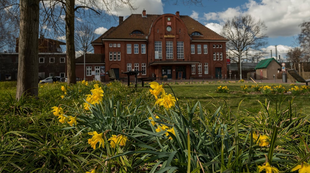 لانجينهاجين