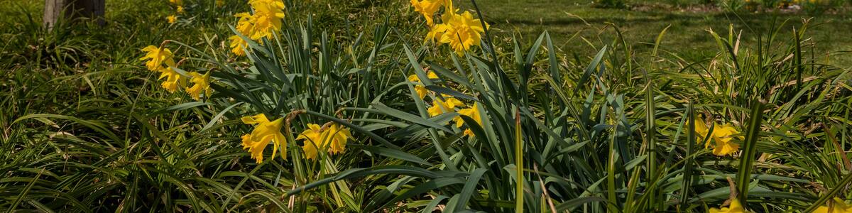 The ancient building of the railway station in the spring in the city of Langenhagen. Hanover. Germany