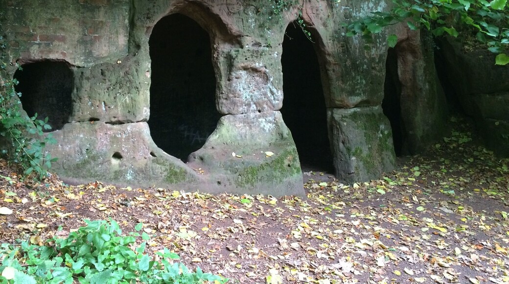 the hermitage, around 1130 AD..great little place in woods at dale Abby