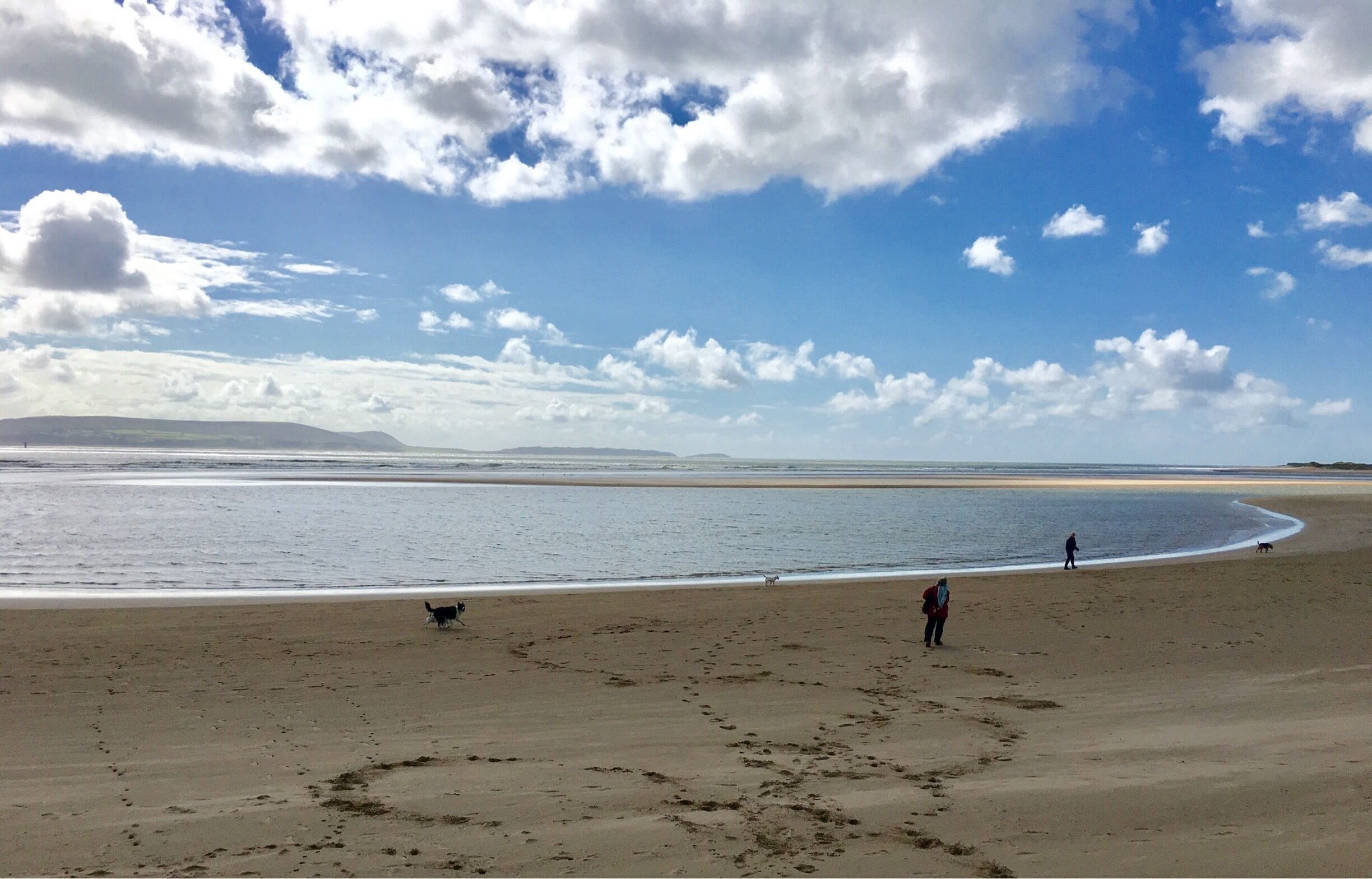 Una playa con huellas, un perro y gente caminando.