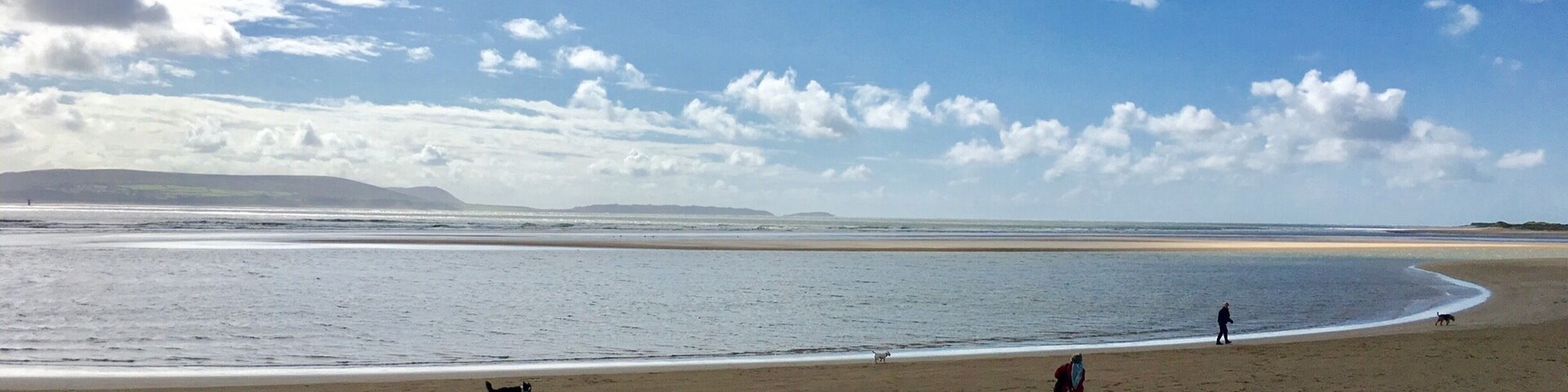 Una playa con huellas, un perro y gente caminando.