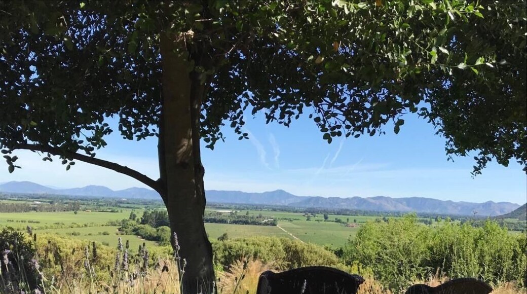 Amazing place to relax and enjoy the view after tasting good wine...