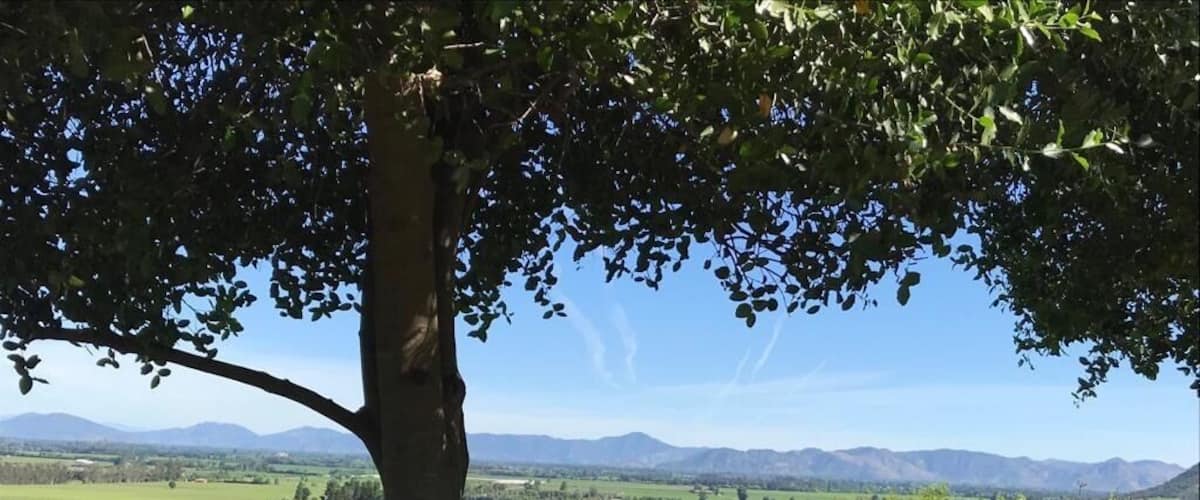 Amazing place to relax and enjoy the view after tasting good wine...