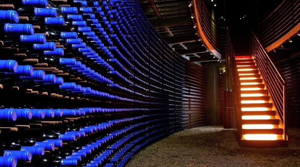 Great winery and very unique 4 room hotel part of Relais & Chateau group. This is the vinoteca or wine cellar lined with Clos Apalta wine with its blue capsule. Really fantastic place to stay and taste the wines. #BVSBlue