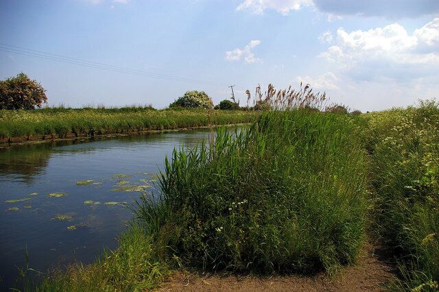 A calm river with green vegetation and a clear sky.