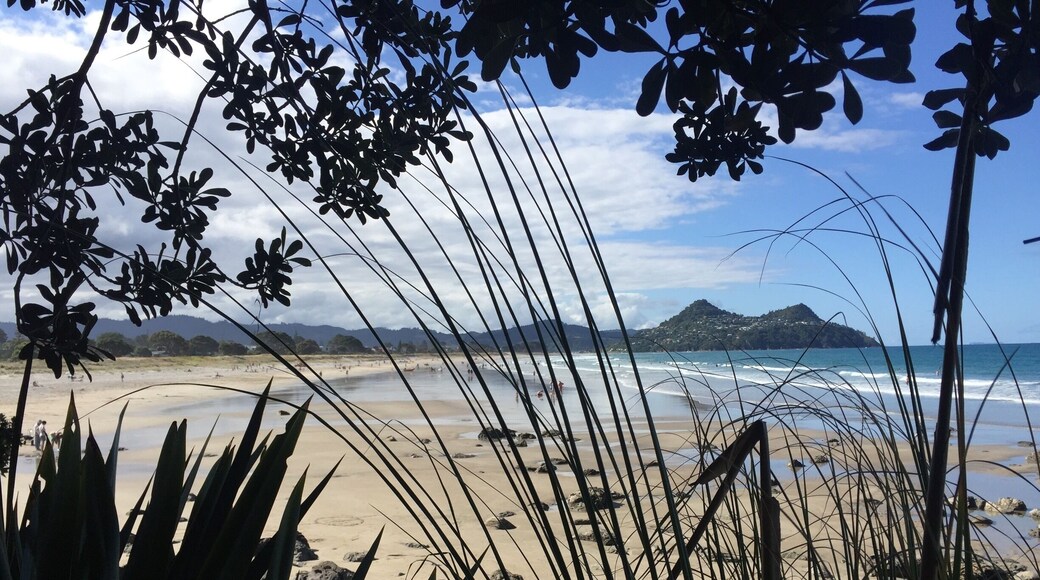 It you're visiting Pauanui Beach take a walk along the coastal track for some gorgeous views ❤️
#roadtrip #NZ18