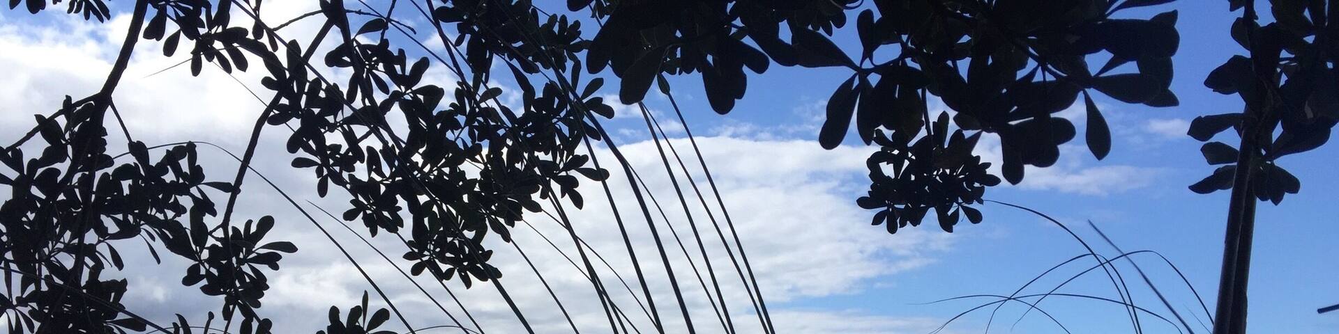 It you're visiting Pauanui Beach take a walk along the coastal track for some gorgeous views ❤️
#roadtrip #NZ18
