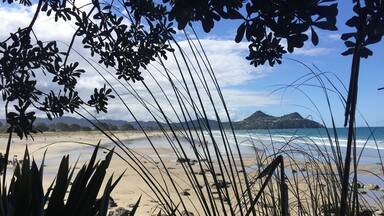 It you're visiting Pauanui Beach take a walk along the coastal track for some gorgeous views ❤️
#roadtrip #NZ18