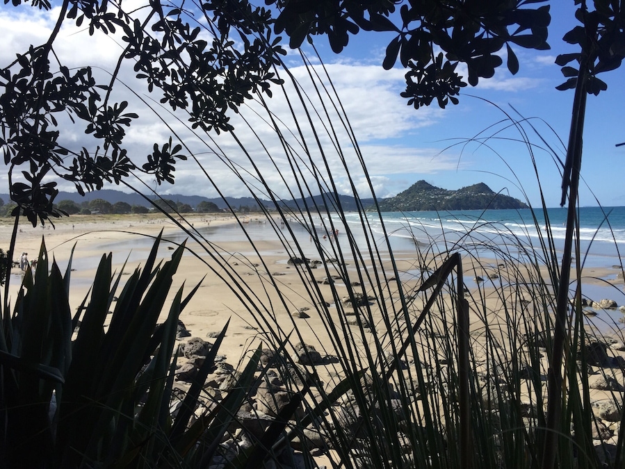 It you're visiting Pauanui Beach take a walk along the coastal track for some gorgeous views ❤️
#roadtrip #NZ18